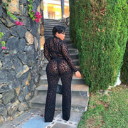 Plus Size Leopard Mesh Jumpsuit
