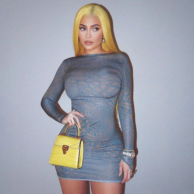 Slim Bodycon Mini Dress