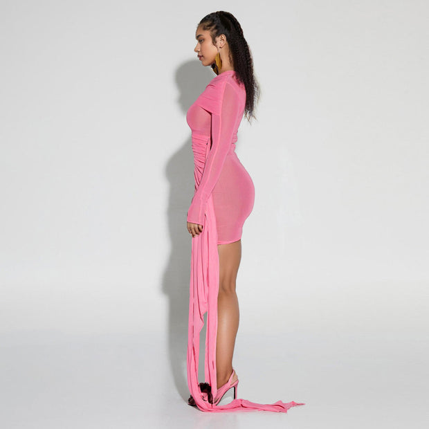 Long Sleeve Mini Dress