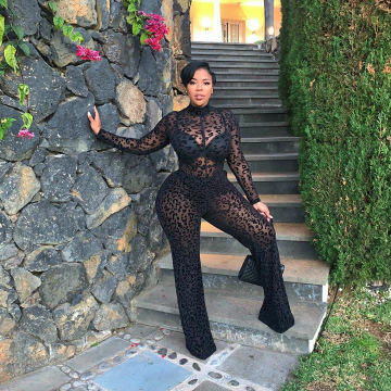 Plus Size Leopard Mesh Jumpsuit